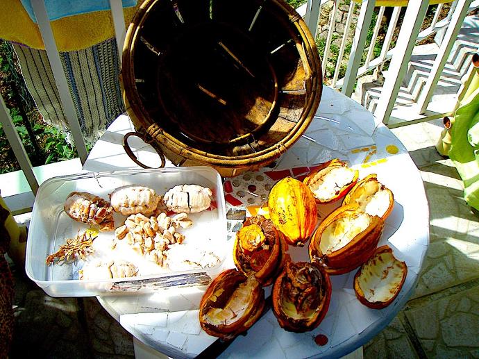 bungalow avec jacuzzi privatif guadeloupe