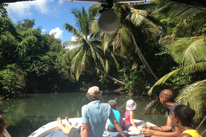 excursion bateau mangrove guadeloupe